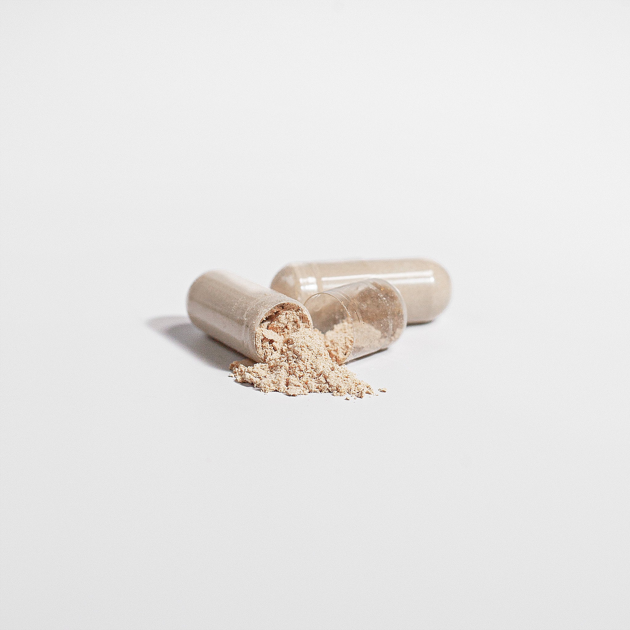 Chaga Mushroom Capsules Immune Support Phytochemical Rich Formula