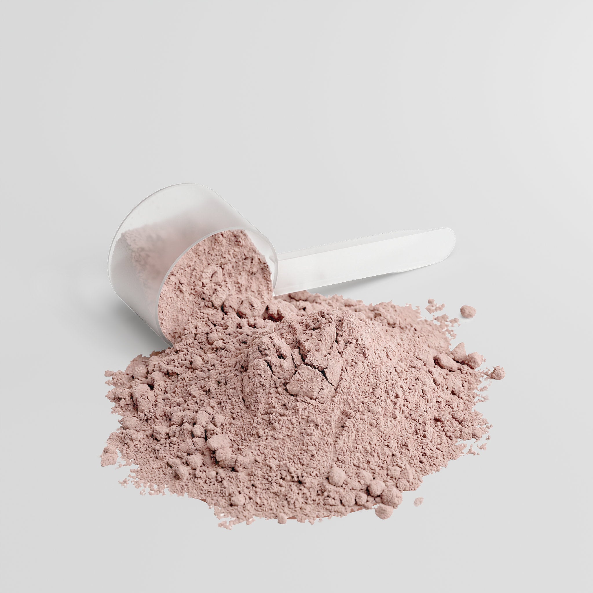 Plant Protein  (Vanilla)